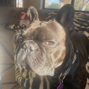 Meet your Posher, Nicole